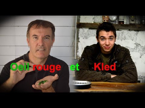 ASMR FR : L’œil rouge et Kled !