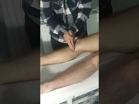 RELAXATION THERAPY THAT RELAXES THE FRONT LEGS #massage #satisfying #relaxing #asmr #shorts
