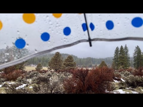 ASMR Winter walk & Rain drops! (No talking only)