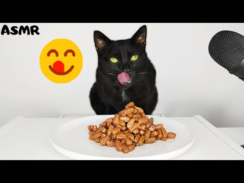 🎧 ASMR Cat Eating Gravy Wet Cat Food