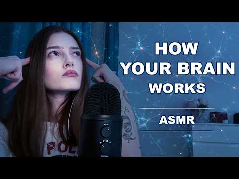 ASMR your brain explained! simple science (clicky whisper)