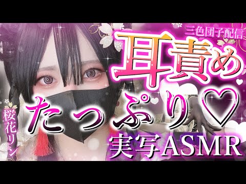 【実写ASMR】メイドの本気?!耳はむ吐息♡ふとももこすこす♡手タイツ♡3種ASMR【桜花リン】
