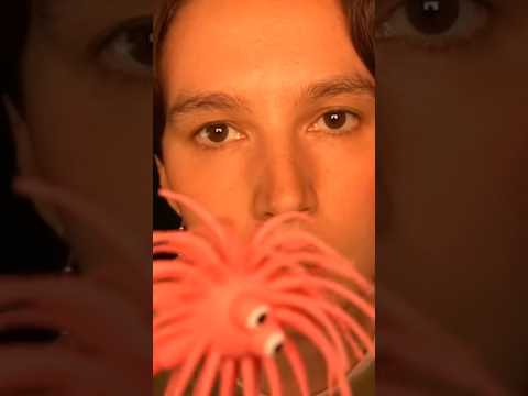 Blink/don't blink instructions