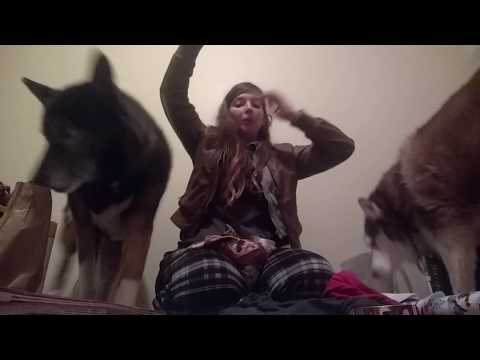 Wrapping With The Pups (Chaotic ASMR)