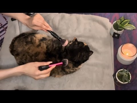 Luxurious and Dreamy Spa Day! ASMR 🌈😻