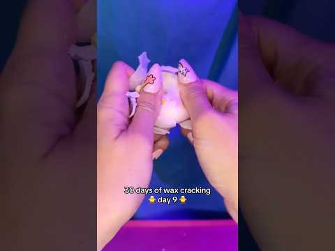 30 days of wax cracking asmr - day 9