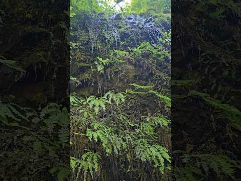 asmr droplet sound