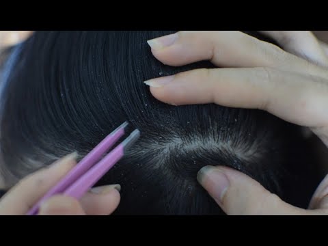 ASMR Real Person Hair Plucking, Hair Parting, Hair Treatment For Relaxation ( Asmr Sleep )