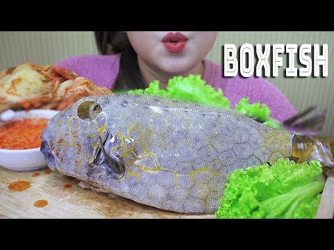 ASMR STEAMED BOXFISH WITH KIMCHI, EXOTIC FOOD , MESSY CHEWY EATING SOUNDS  | LINH-ASMR