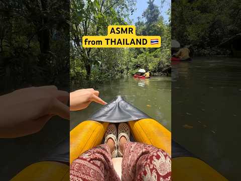 Welcome to the Jungle 🐒🦎🐝 #asmr #thailand #monkey