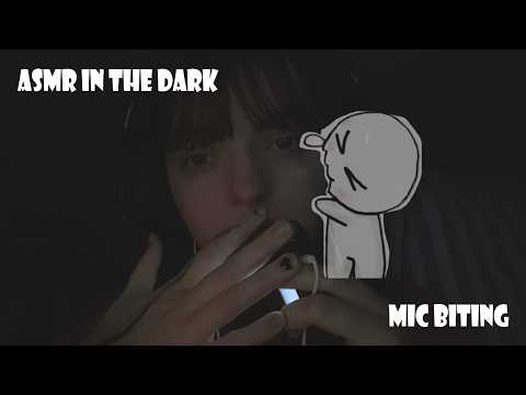 ASMR TASCAM // mic biting, mouth sounds // ASMR TO WATCH IN THE DARK