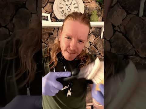 ASMR | Fast and Chaotic Cranial Nerve Exam #asmr