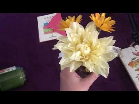 ASMR | Mini Birthday Gift Haul (August 24th ♍️)
