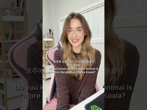 호주에 떨어지는 곰이 있다고요?! 😱 | Drop Bears in Australia
