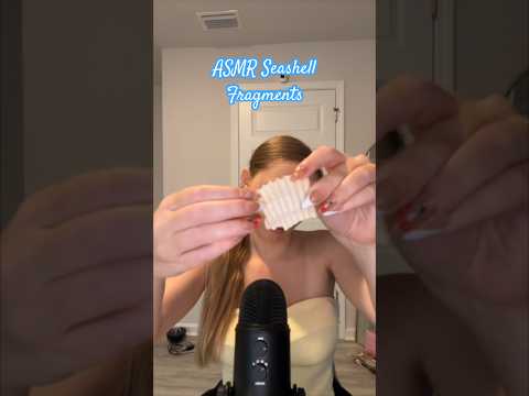 Love finding shells! #asmrvideos #asmrsound #shorts #tinglesasmr #asmr