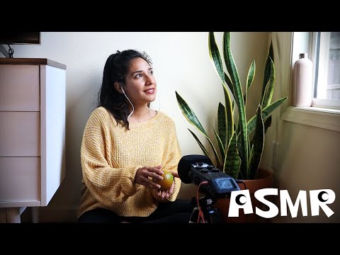 ASMR Soothing Shaker | Rambling | Relaxation