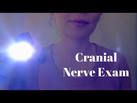 Cranial Nerve Exam ASMR ✨