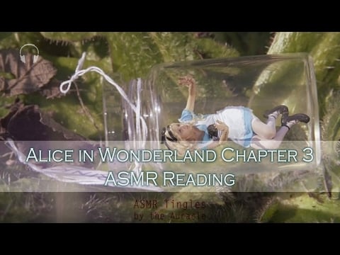 Alice in Wonderland chp 3 ★ [ASMR] Reading ★  [Binaural] [Softly spoken]