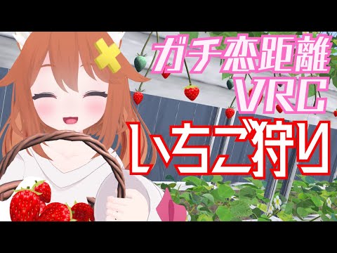 【ガチ恋距離VRC】いちご狩りデート【Vtuber配信】