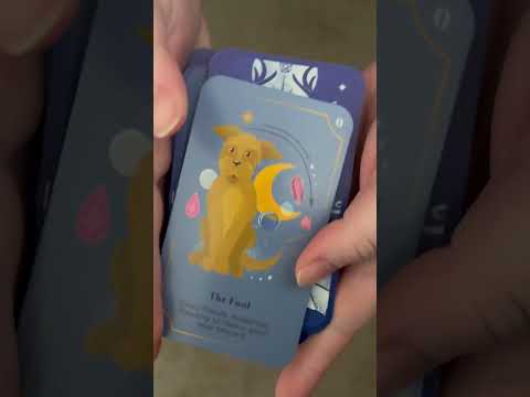 Let’s grab you a card #dailytarot
