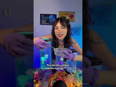 Pov: compras medusas 🪼💕✨ #jellyfish #asmr #kids #medusas