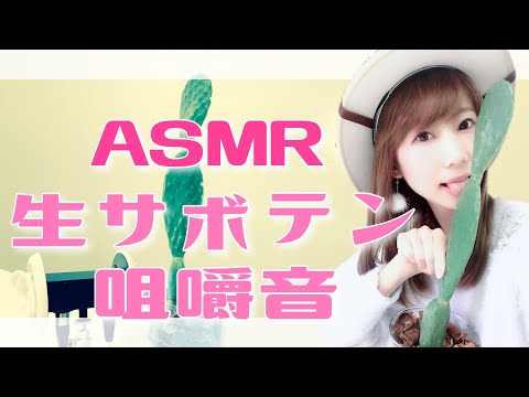 【ASMR】食べられる⁉︎立派なサイズの『サボテン』咀嚼音 / CACTUS EATING SOUNDS【あゆみぃな】