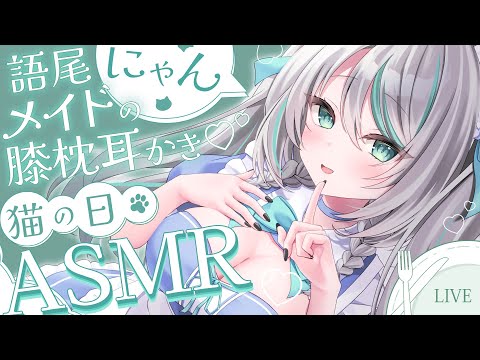 【🔴LIVE／#ASMR 】#猫の日 語尾にゃんメイドの膝枕耳かき ASMR #whispering 【 #雪豹メイドお給仕中 / #vtuber 】