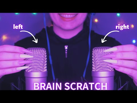 Asmr Mic Scratching - Brain Scratching | Hypnotic Asmr No Talking for Sleep with Long Nails 1H