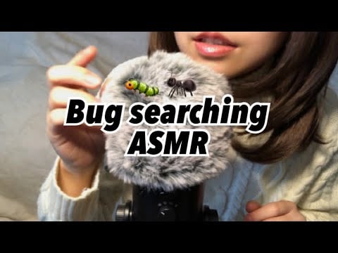 虫を探す。Looking for bugs /  Bug searching
