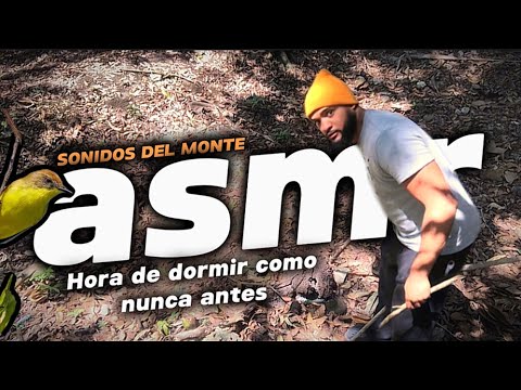 ASMR EN EL MONTE 🍁 COMO NUNCA ANTES VISTO