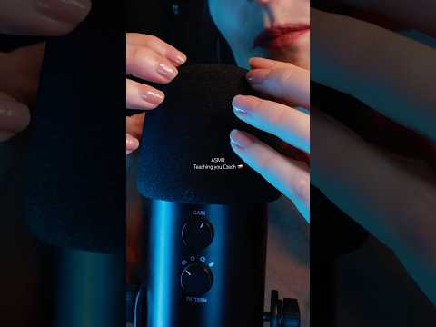 ASMR Mic scratching tingles 🥰 #asmr #relax #asmrmicscratching #czechasmr #asmrtingles