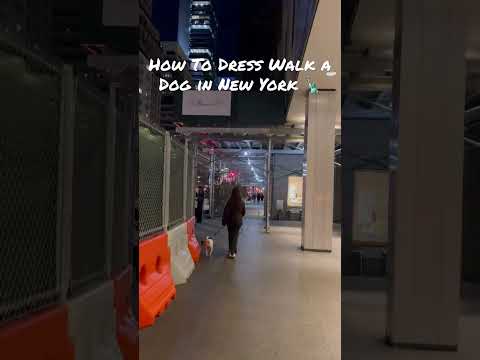 How To Dress To Walk a Dog in New York 🗽