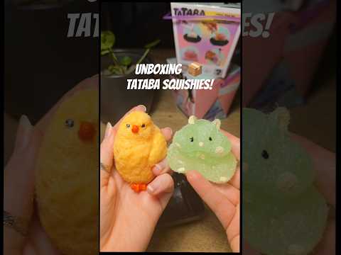 ASMR-Friendly Fidget Friends 🐥🐹 #asmr #tataba #squishy #unboxing #dutch