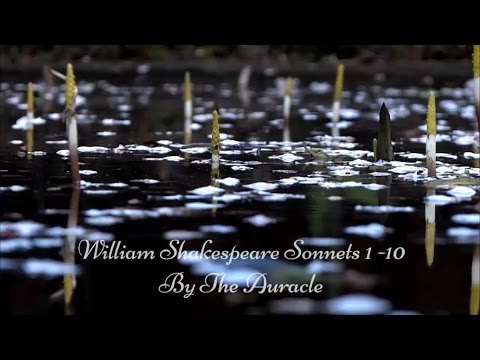 William Shakespeare ★ [ASMR]  binaural Reading ★ [Softly spoken] [Ear o Ear]