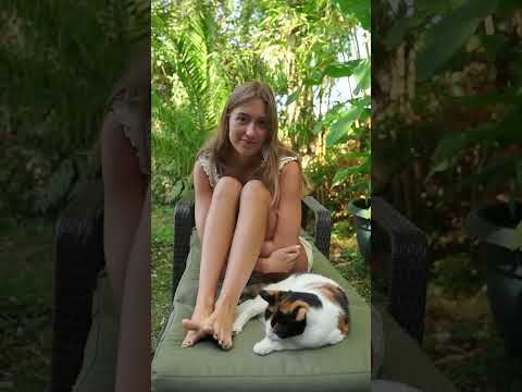 Can you reach your foot? #asmr #cat