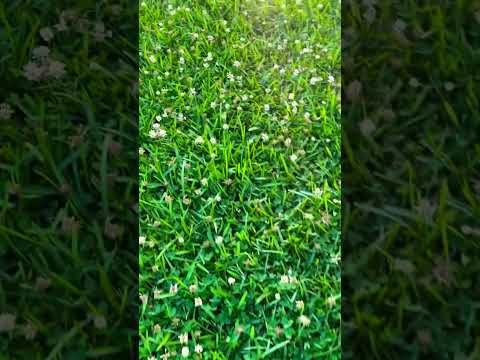 Relaxing Odd Sounds #shortvideo