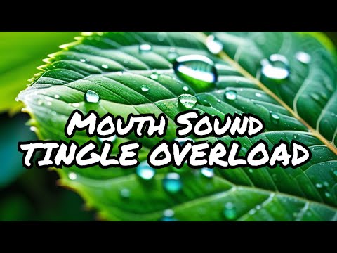 ASMR Mouth sounds and SK (audio only)