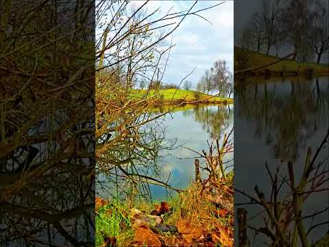 🌸 “When Nature Wakes Up Again – It’s Spring”#shorts
