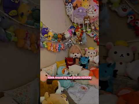 ASMR Around My Bed (Stuffie HEAVEN) 🤩 ─♡─ #asmr #stuffedanimals