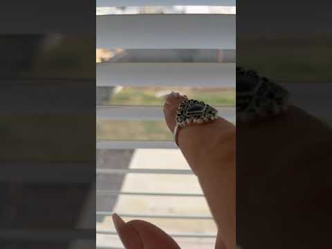 ASMR Tracing Through the Blinds ~ what do u see? #short