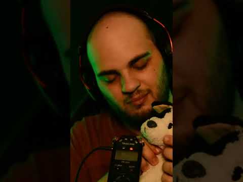 60 Sec ASMR : Patch, Le petit chien