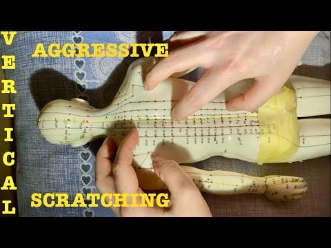 ASMR|⚠️EXTREME FAST AGGRESSIVE BACK SCRATCHING ON MY ACUPUNCTURE DOLL  VERTICAL MODE. SOFT SPEAKING