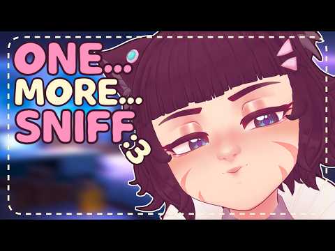 ꒰ASMR꒱ 🐾 Catgirl Has to Sniff Check You… 💤