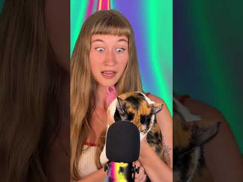 ASMR with cat
