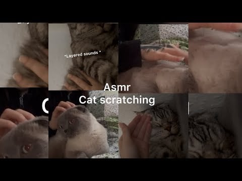 Layered sounds asmr | Lofi 