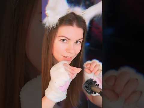 paws touch asmr #асмр #asmr #shots #visualasmr #asmrvideos