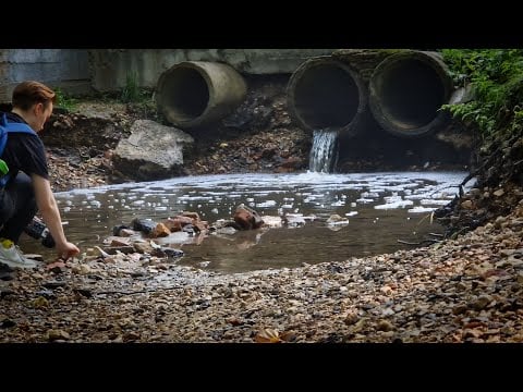 ASMR Peaceful Morning in the Woods