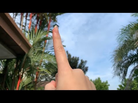 ASMR lofi air tracing in nature + camera tapping ( public ASMR )