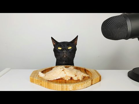 Cat eating Chicken Broth ASMR