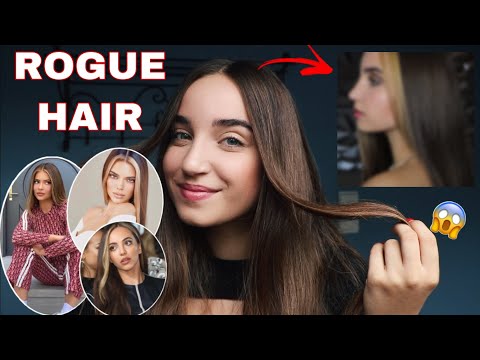 JE TESTE LE ROGUE HAIR !